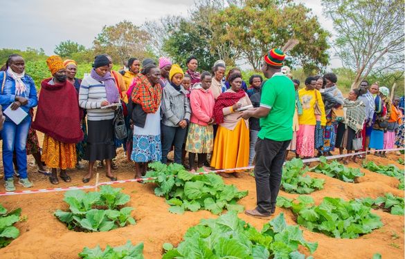SEKU Successfully Hosts Lower Eastern Agribusiness Expo to Champion Climate-Smart Agriculture